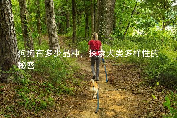 狗狗有多少品种，探索犬类多样性的秘密