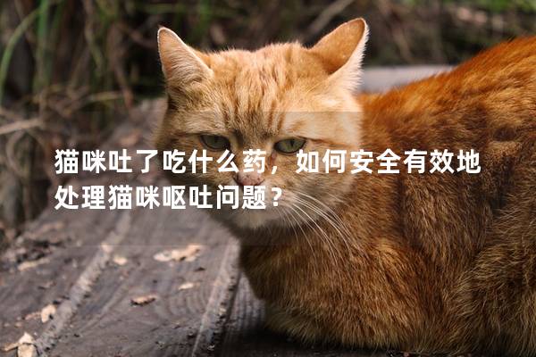 猫咪吐了吃什么药，如何安全有效地处理猫咪呕吐问题？