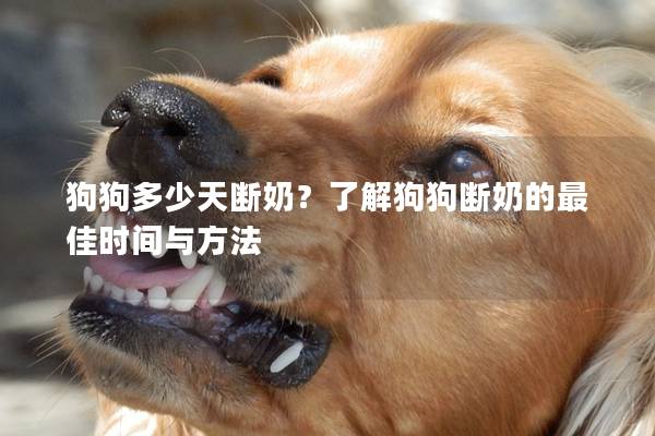 狗狗多少天断奶？了解狗狗断奶的最佳时间与方法