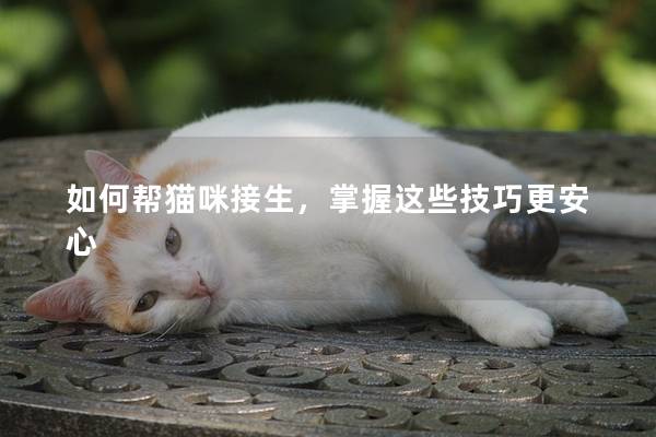 如何帮猫咪接生，掌握这些技巧更安心