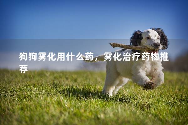 狗狗雾化用什么药，雾化治疗药物推荐