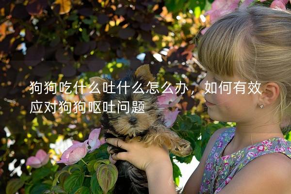 狗狗吃什么吐什么怎么办，如何有效应对狗狗呕吐问题