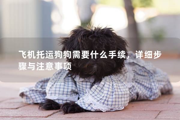 飞机托运狗狗需要什么手续，详细步骤与注意事项