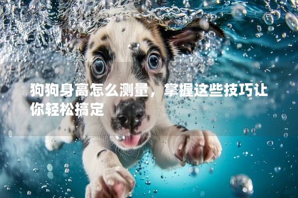 狗狗身高怎么测量，掌握这些技巧让你轻松搞定