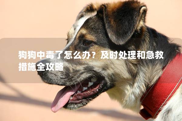 狗狗中毒了怎么办？及时处理和急救措施全攻略