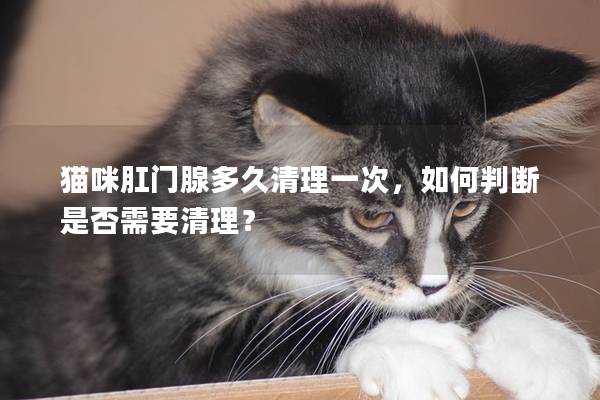 猫咪肛门腺多久清理一次，如何判断是否需要清理？