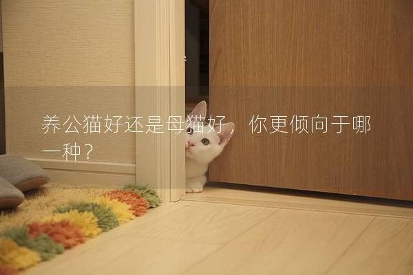 养公猫好还是母猫好，你更倾向于哪一种？