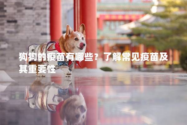 狗狗的疫苗有哪些？了解常见疫苗及其重要性