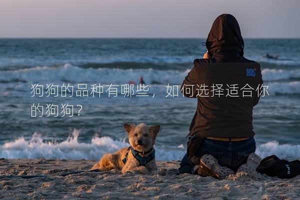 狗狗的品种有哪些，如何选择适合你的狗狗？