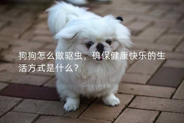 狗狗怎么做驱虫，确保健康快乐的生活方式是什么？