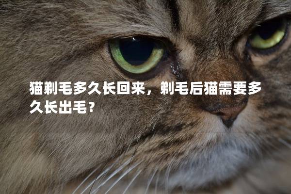 猫剃毛多久长回来，剃毛后猫需要多久长出毛？