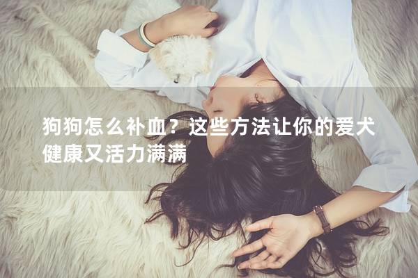 狗狗怎么补血？这些方法让你的爱犬健康又活力满满
