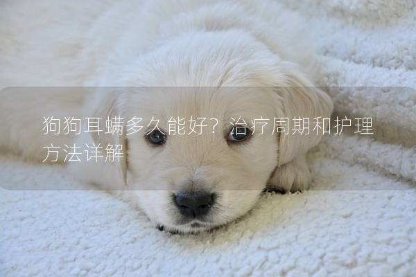 狗狗耳螨多久能好？治疗周期和护理方法详解