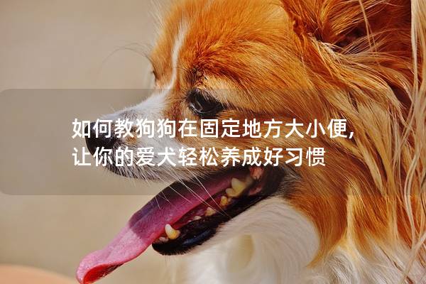 如何教狗狗在固定地方大小便, 让你的爱犬轻松养成好习惯