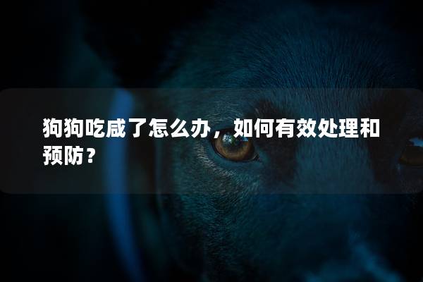 狗狗吃咸了怎么办，如何有效处理和预防？