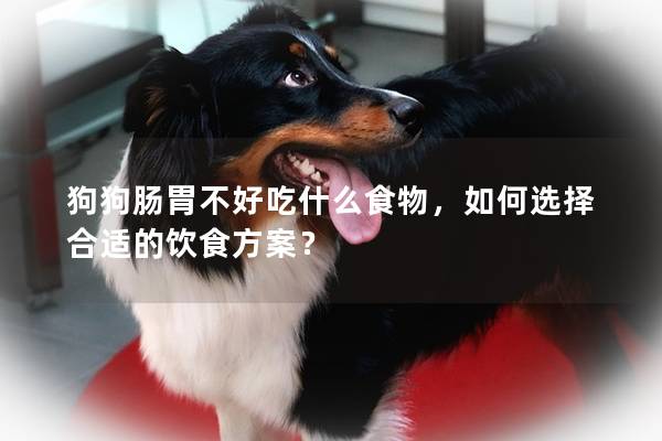 狗狗肠胃不好吃什么食物，如何选择合适的饮食方案？