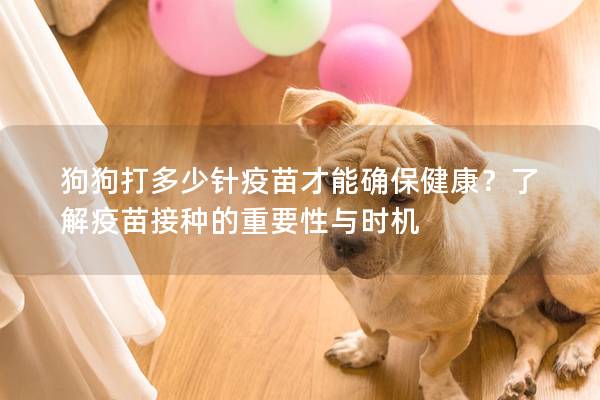 狗狗打多少针疫苗才能确保健康？了解疫苗接种的重要性与时机