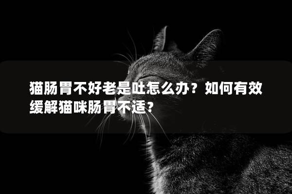 猫肠胃不好老是吐怎么办？如何有效缓解猫咪肠胃不适？