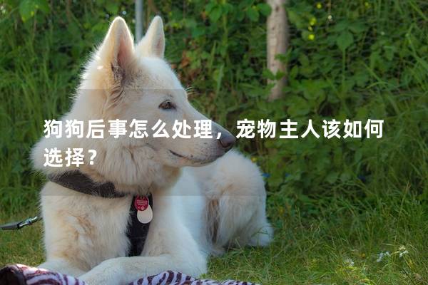 狗狗后事怎么处理，宠物主人该如何选择？