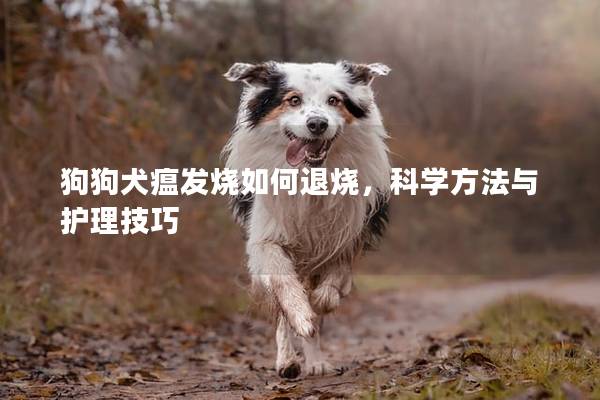 狗狗犬瘟发烧如何退烧，科学方法与护理技巧