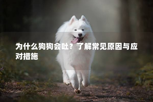为什么狗狗会吐？了解常见原因与应对措施