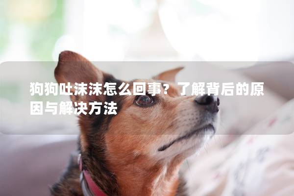 狗狗吐沫沫怎么回事？了解背后的原因与解决方法