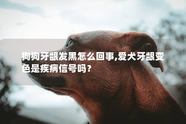 狗狗牙龈发黑怎么回事,爱犬牙龈变色是疾病信号吗？