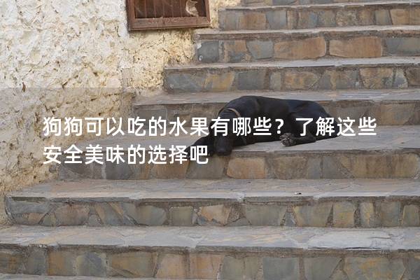 狗狗可以吃的水果有哪些？了解这些安全美味的选择吧