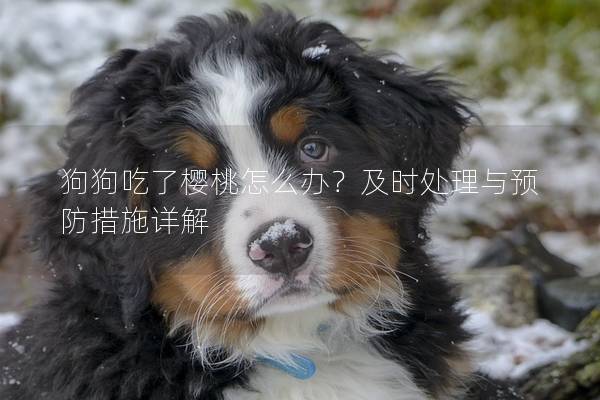 狗狗吃了樱桃怎么办？及时处理与预防措施详解