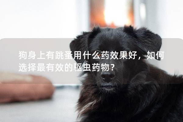 狗身上有跳蚤用什么药效果好，如何选择最有效的驱虫药物？