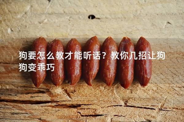 狗要怎么教才能听话？教你几招让狗狗变乖巧