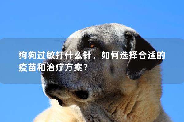 狗狗过敏打什么针，如何选择合适的疫苗和治疗方案？