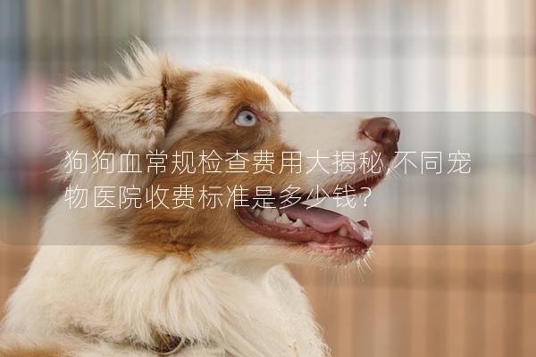 狗狗血常规检查费用大揭秘,不同宠物医院收费标准是多少钱？