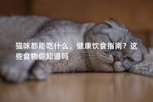 猫咪都能吃什么，健康饮食指南？这些食物你知道吗
