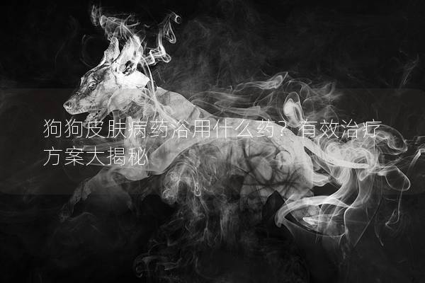 狗狗皮肤病药浴用什么药？有效治疗方案大揭秘