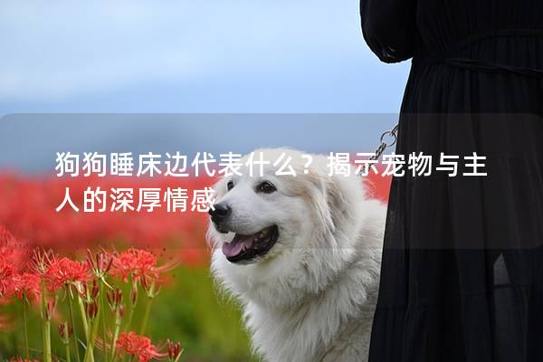 狗狗睡床边代表什么？揭示宠物与主人的深厚情感