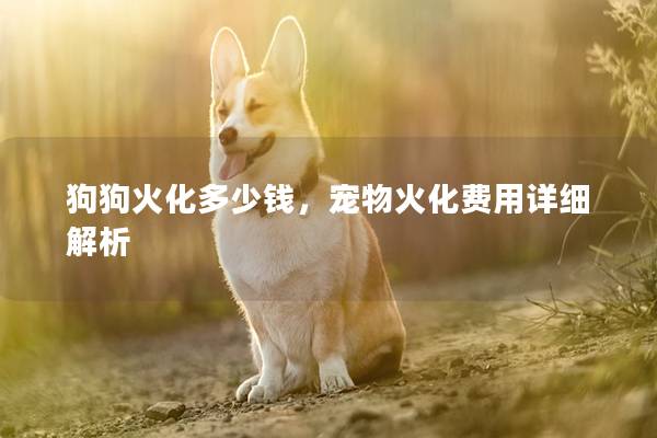 狗狗火化多少钱，宠物火化费用详细解析