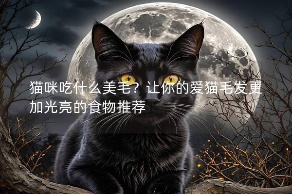 猫咪吃什么美毛？让你的爱猫毛发更加光亮的食物推荐