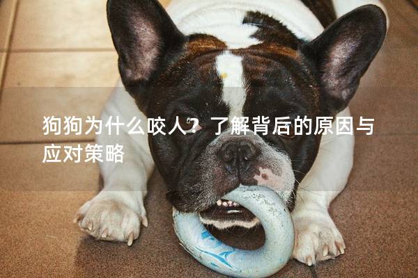 狗狗为什么咬人？了解背后的原因与应对策略