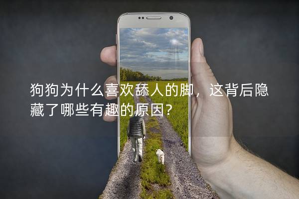 狗狗为什么喜欢舔人的脚，这背后隐藏了哪些有趣的原因？