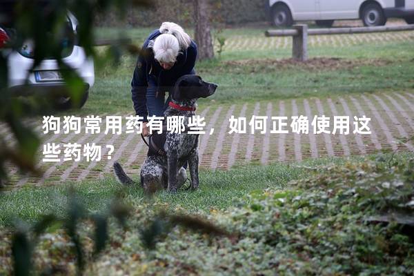 狗狗常用药有哪些，如何正确使用这些药物？