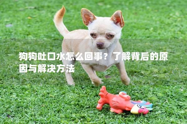 狗狗吐口水怎么回事？了解背后的原因与解决方法