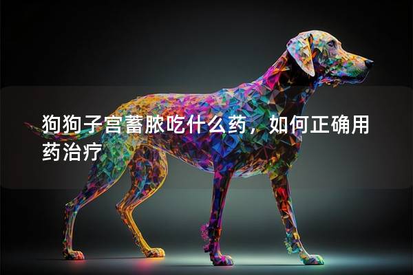 狗狗子宫蓄脓吃什么药，如何正确用药治疗