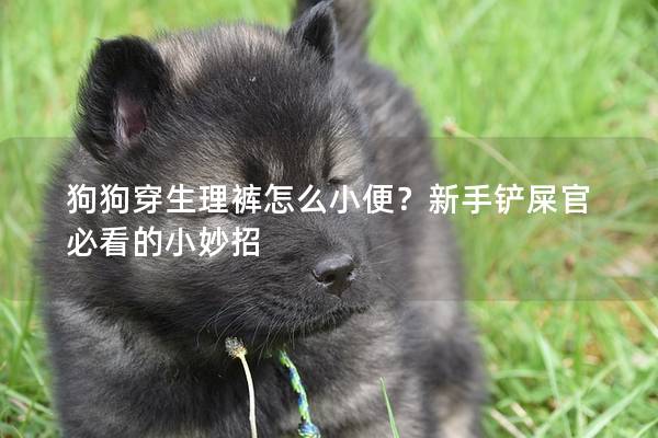 狗狗穿生理裤怎么小便？新手铲屎官必看的小妙招