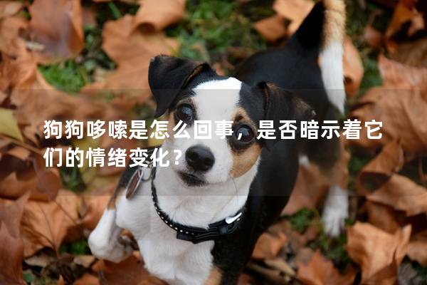 狗狗哆嗦是怎么回事，是否暗示着它们的情绪变化？