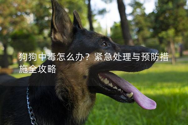 狗狗中毒怎么办？紧急处理与预防措施全攻略