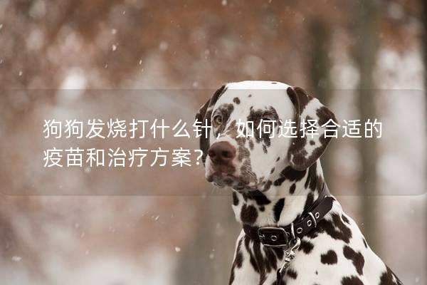 狗狗发烧打什么针，如何选择合适的疫苗和治疗方案？