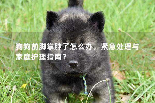 狗狗前脚掌肿了怎么办，紧急处理与家庭护理指南？