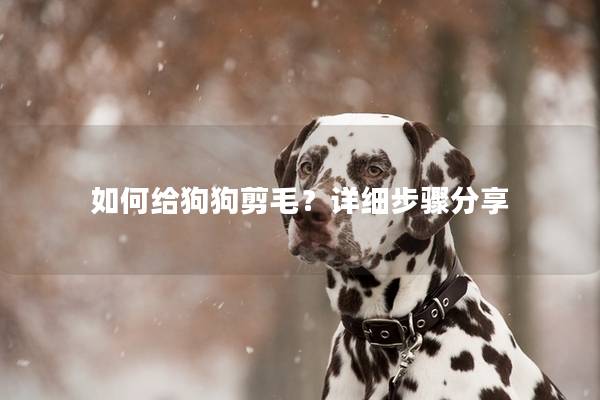 如何给狗狗剪毛？详细步骤分享