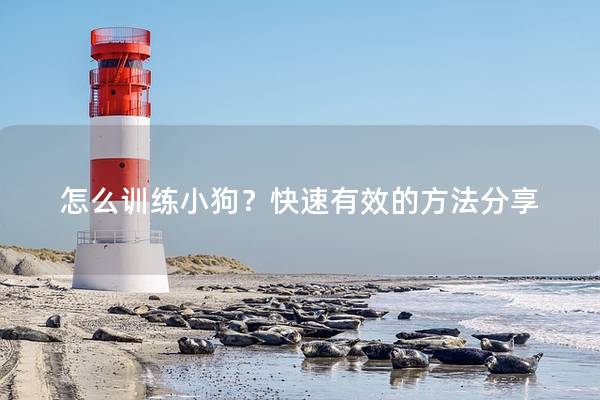 怎么训练小狗？快速有效的方法分享